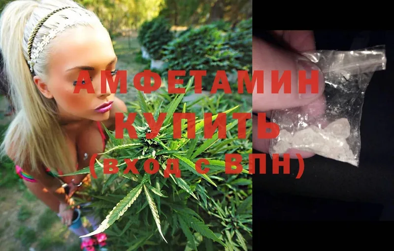 Amphetamine Premium  закладки  Зеленоградск 