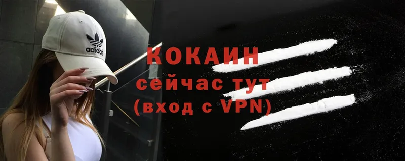 COCAIN VHQ  где купить   Зеленоградск 