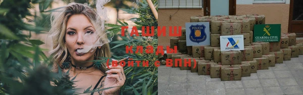 твердый Няндома