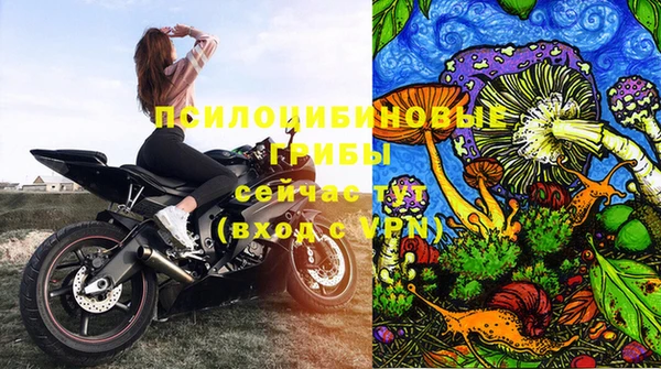 твердый Няндома