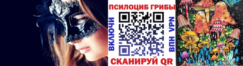 Псилоцибиновые грибы Cubensis  Зеленоградск 
